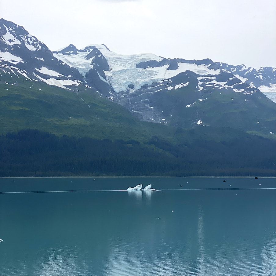 Floating ice College Fjord