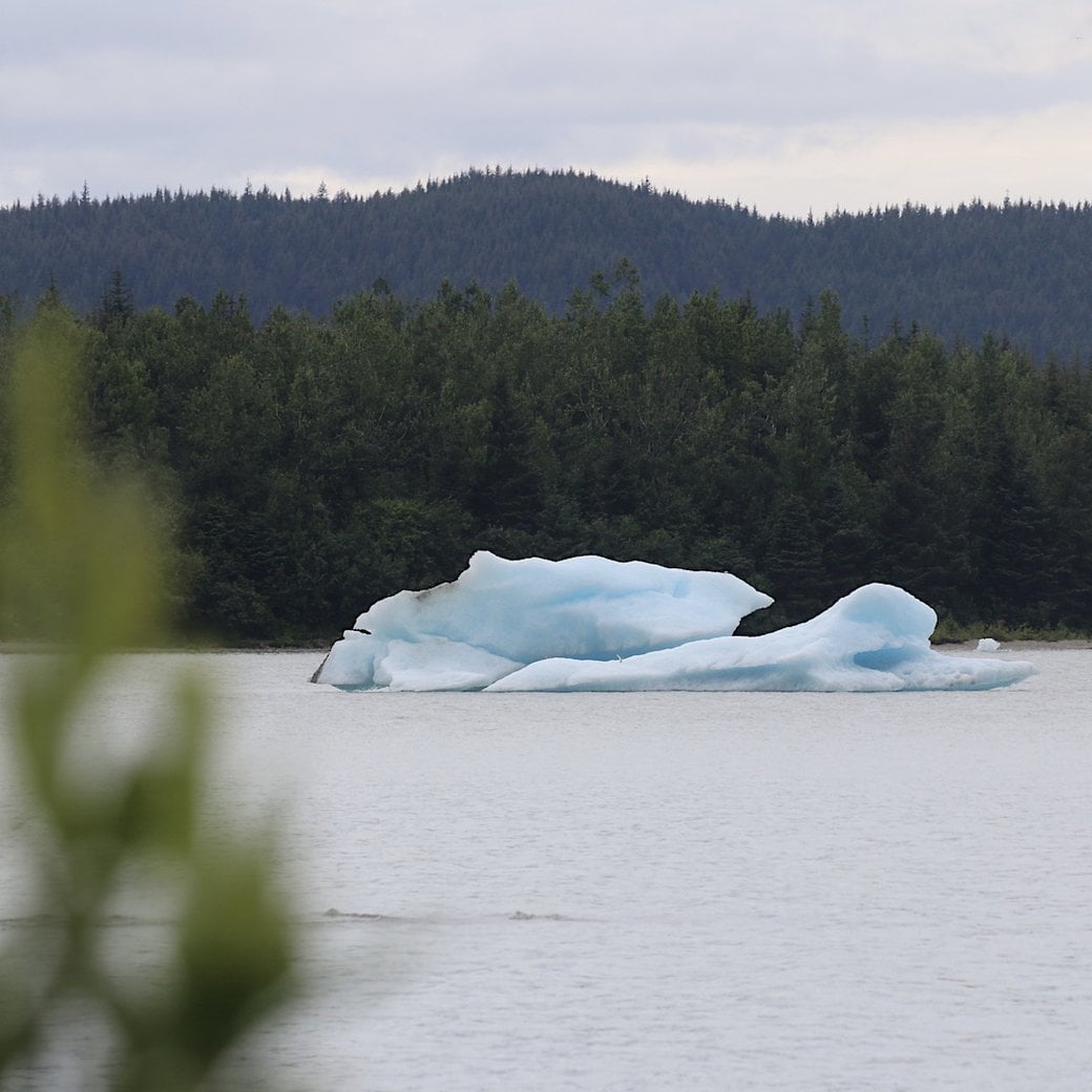 Floating icebergs Retreating glacier