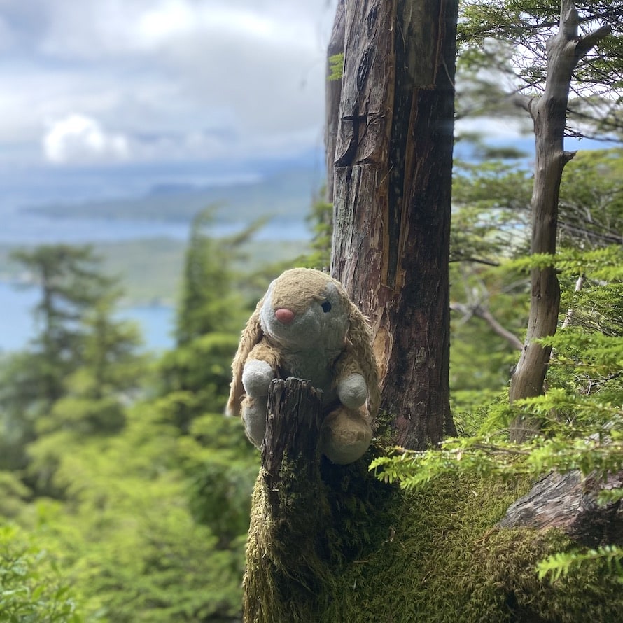 Hiking Bunny Happy hiker in Ketchikan