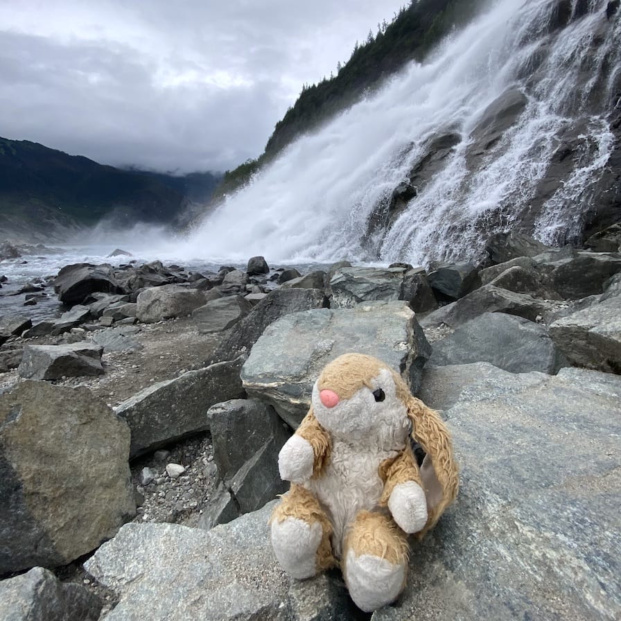 Nugget Falls Bunny at Nugget Falls