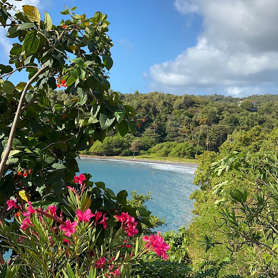View from the villa Two Bays Beach Villa