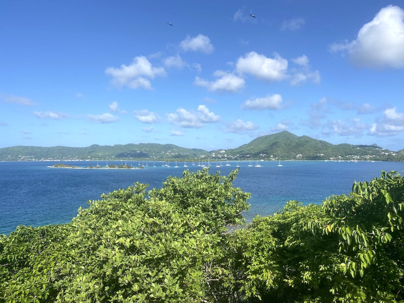 Carriacou Beautiful Carriacou