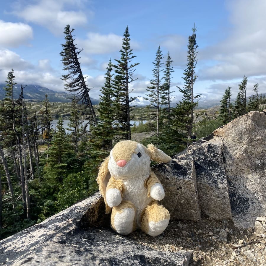 Bunny in BC Posing in British Columbia