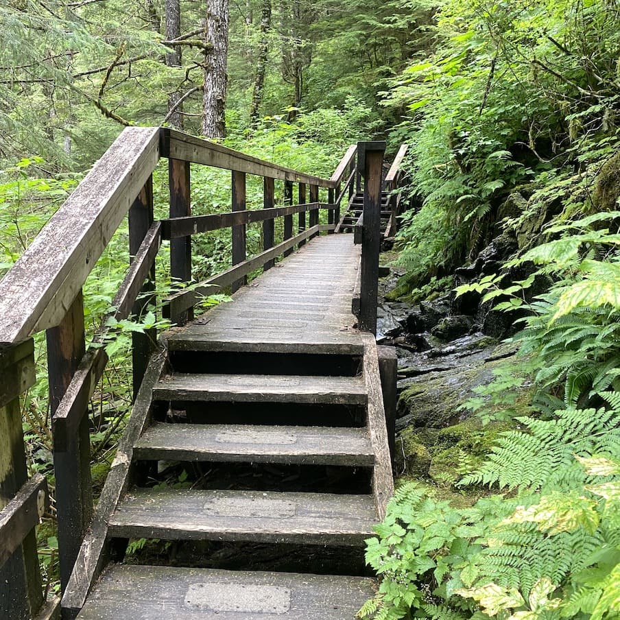 Into the woods Start of Deer Mountain hike
