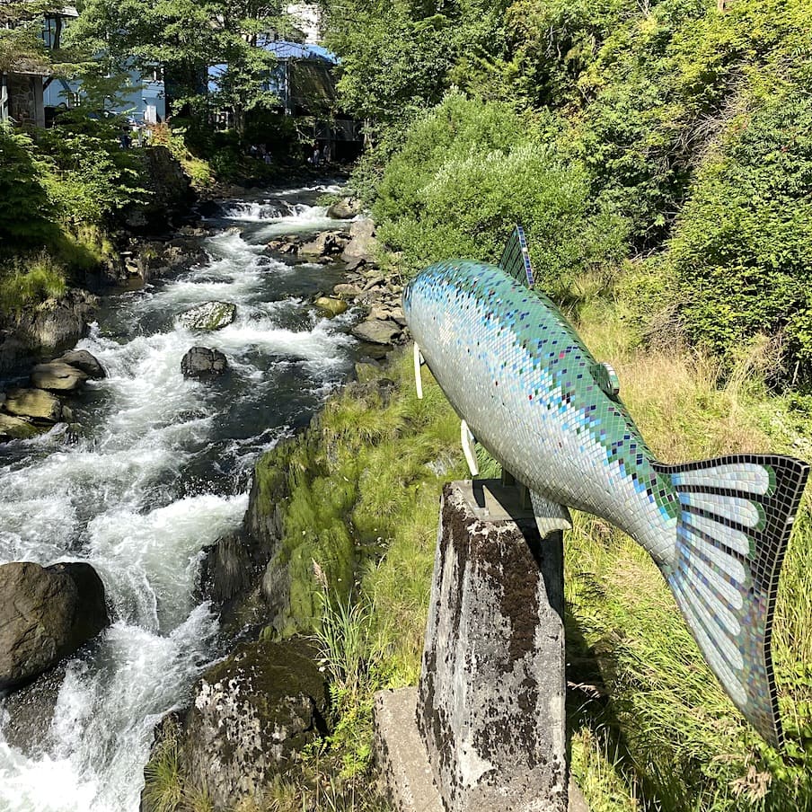 Salmon Walk Salmon Capital Ketchikan