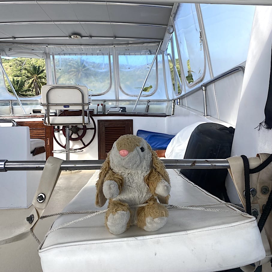 Bunny on MV Paradox Comfortable ride