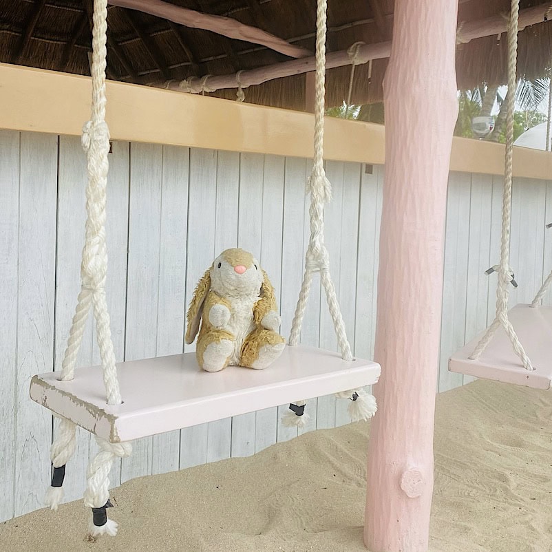 Mexico Bunny in Gozumel