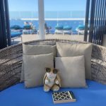 Bunny on a cruise