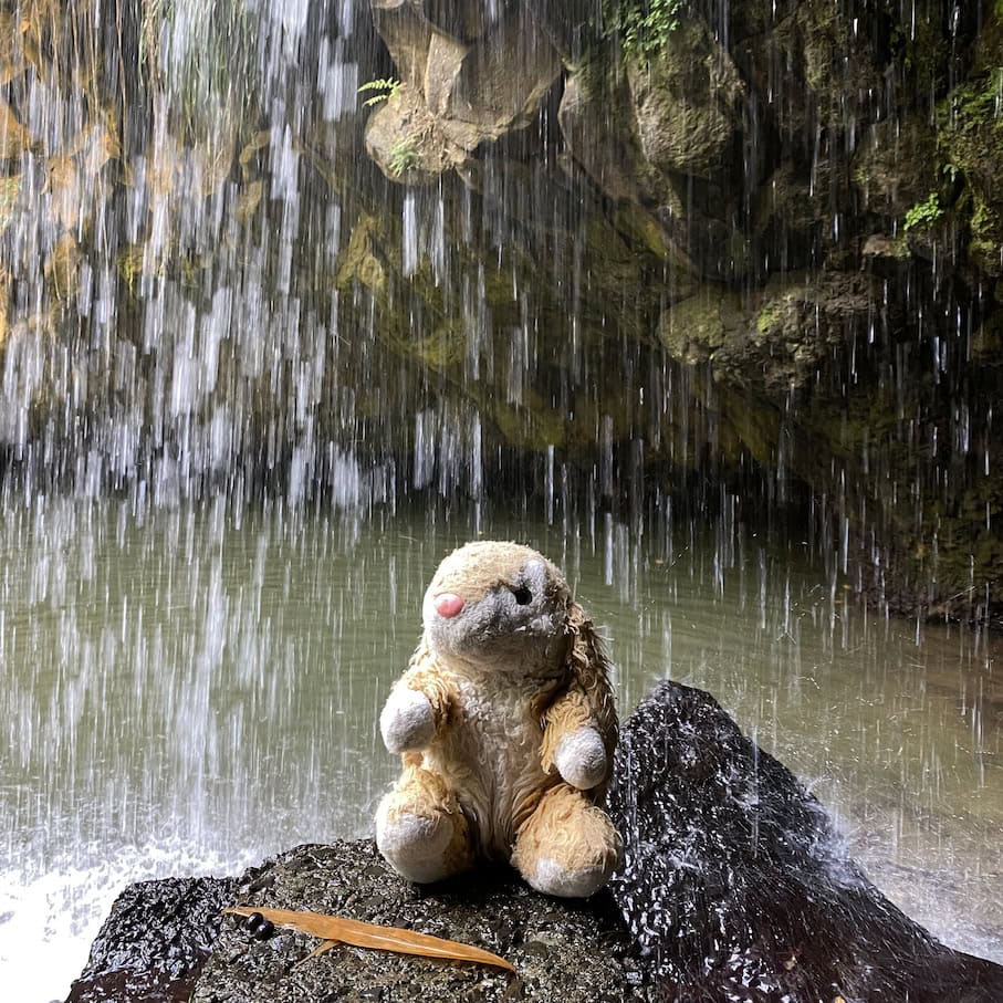 Annandale Falls Waterfalls in Grenada