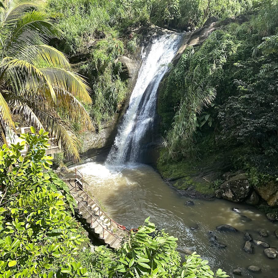 Concord falls Waterfalls in Grenada