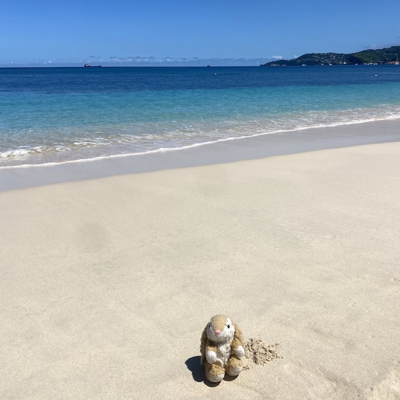 Grand Anse Grenada's most famous beach