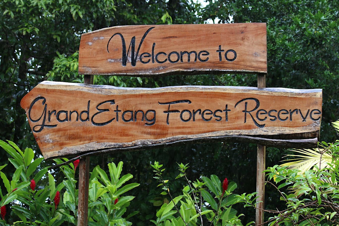 Grand Etang Grenada's forest reserve
