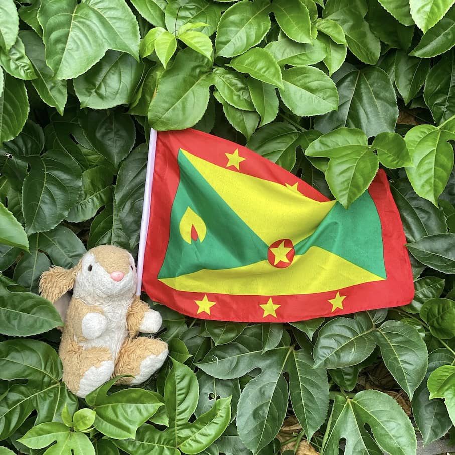 Grenada tips What to do in Grenada...