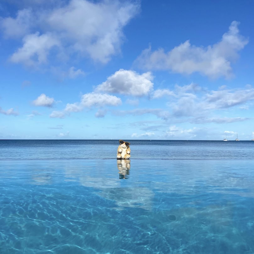 Hotel day pass Silversands Grenada