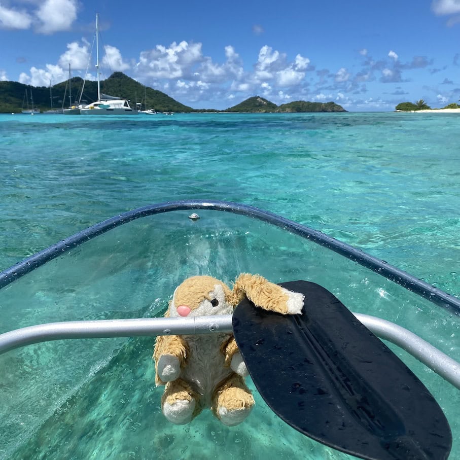 Kayaking Clear kayaks in Grenada