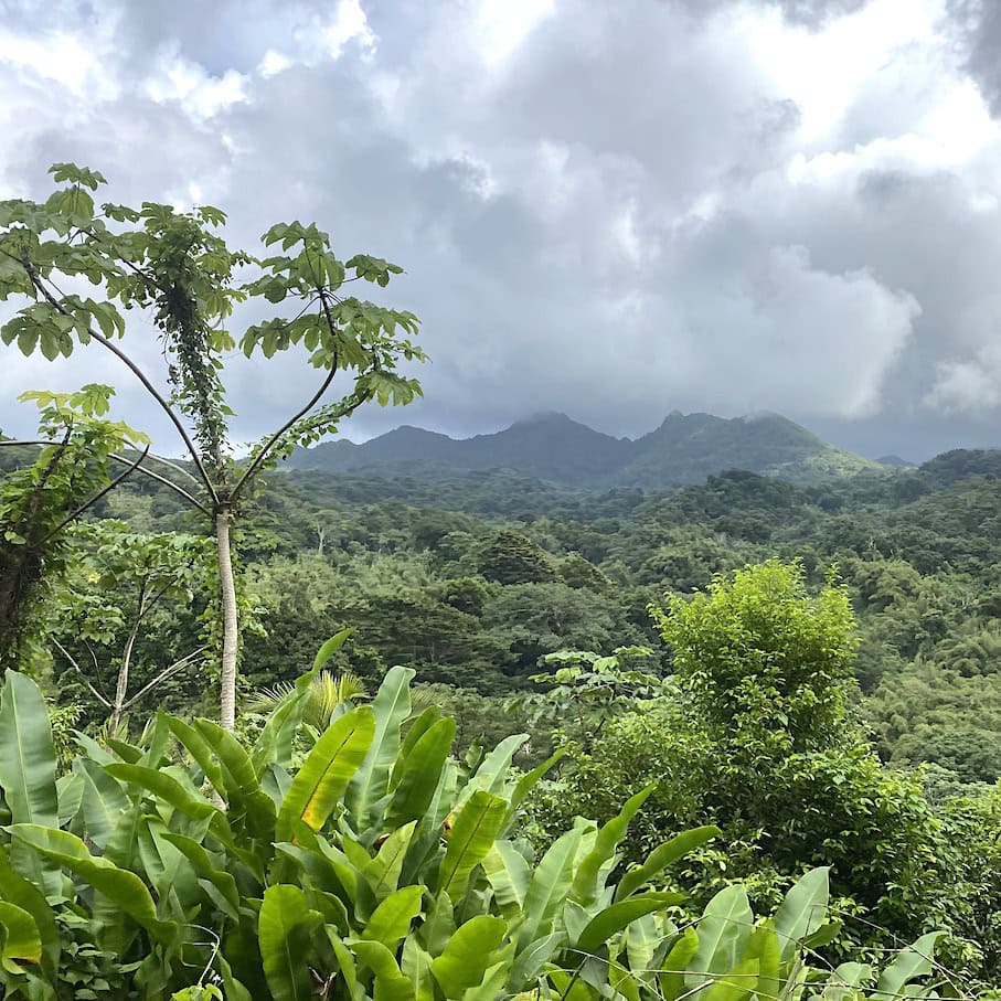 Lush interior Mountainous Grenada