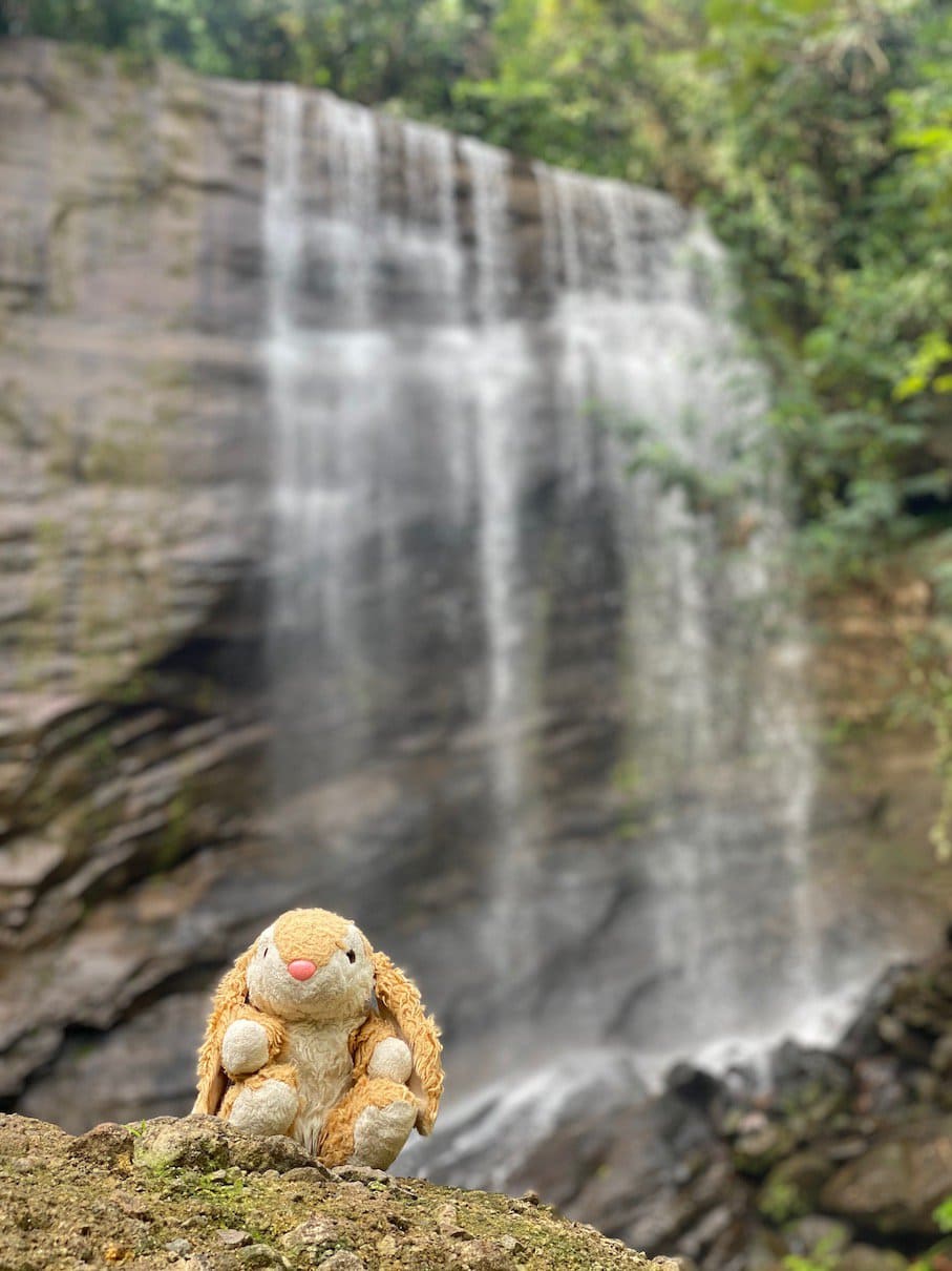 Mt. Carmel Chasing waterfalls