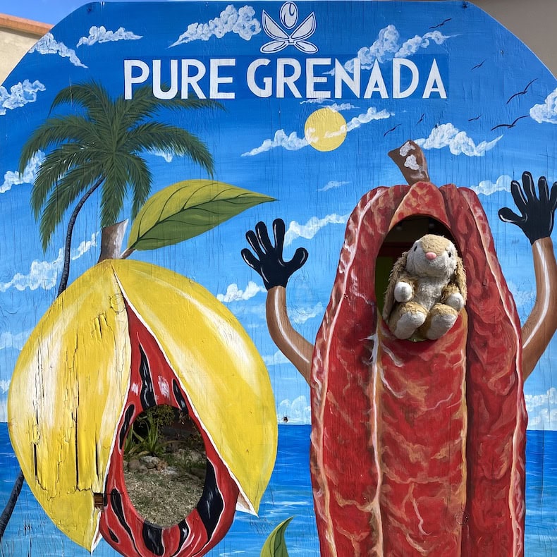 Pure Grenada Bunny in pure Grenada