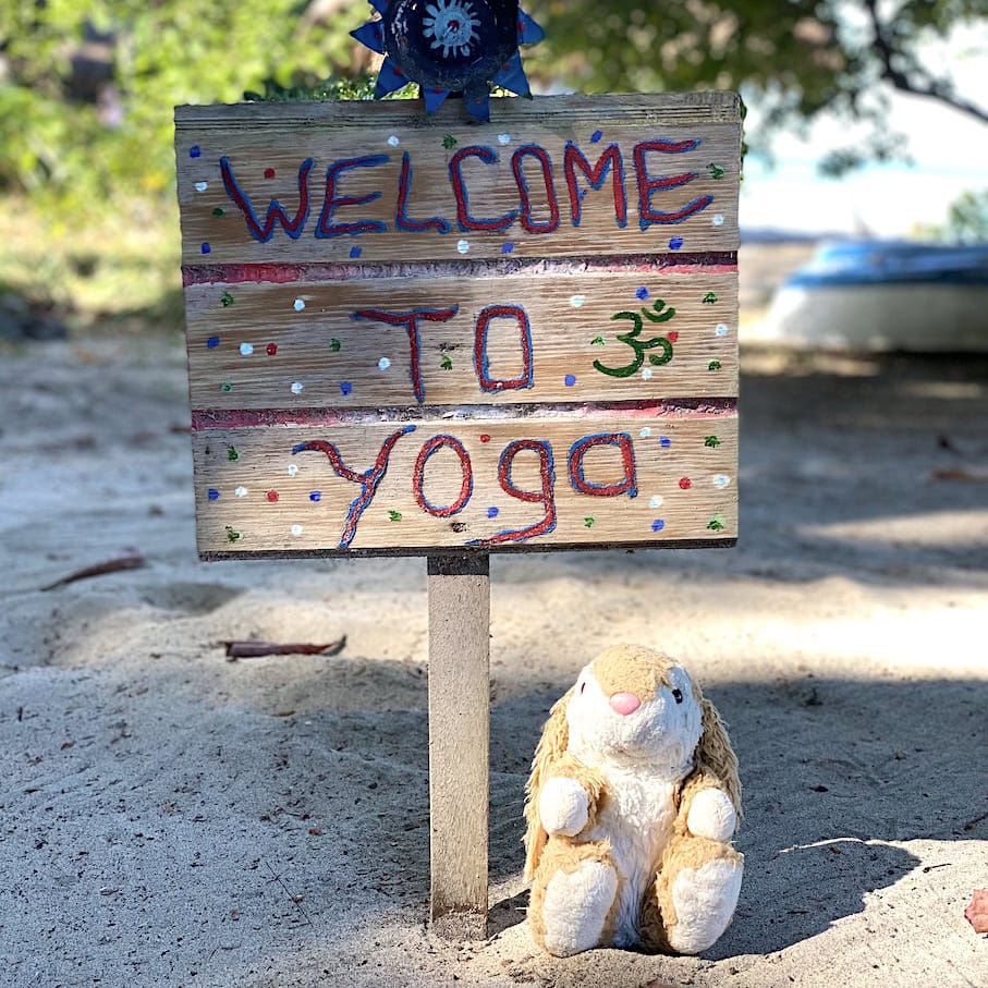 Yoga Bunny Yoga at La Luna