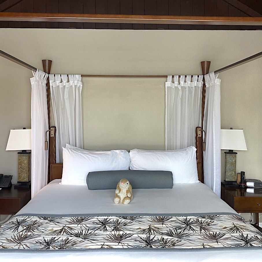 Beautiful room Bunny's luxury suite