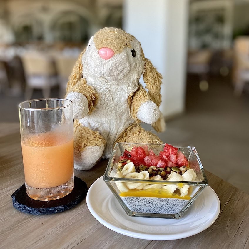 Healthy breakfast Bunny loved her breakfast