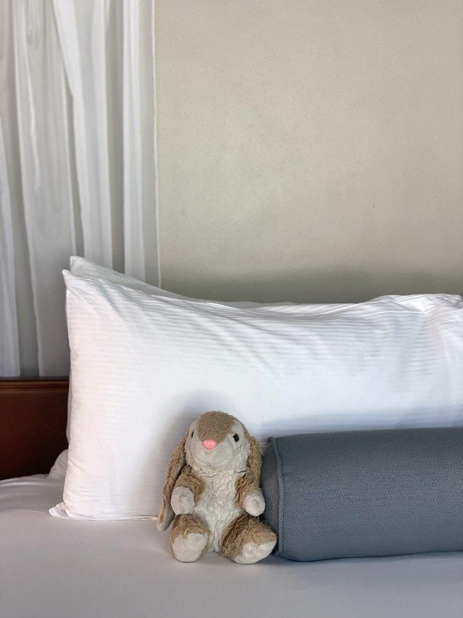 Luxurious room Bunny loved her room