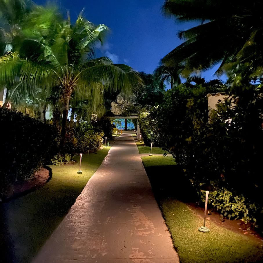 Gardens at night Night time entertainment