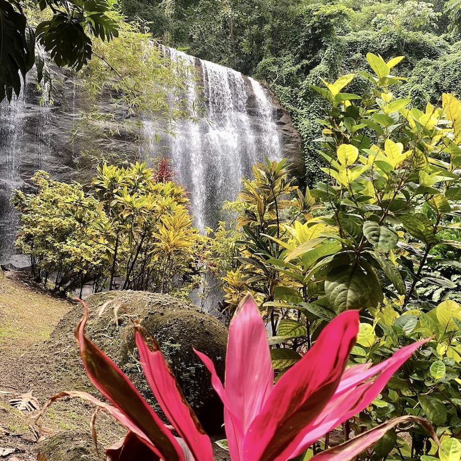 Mt Carmel Bunny's favourite waterfall