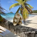 Posing in paradise
