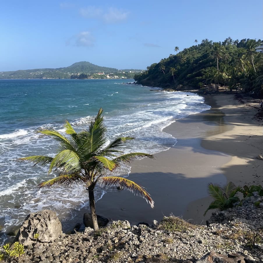 Petite Anse beach Beautiful, wild beach