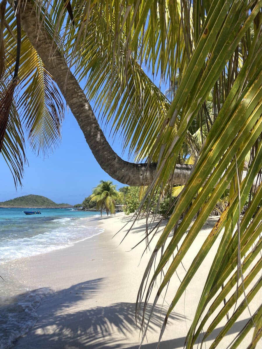Picnic view Sandy Island, Grenada
