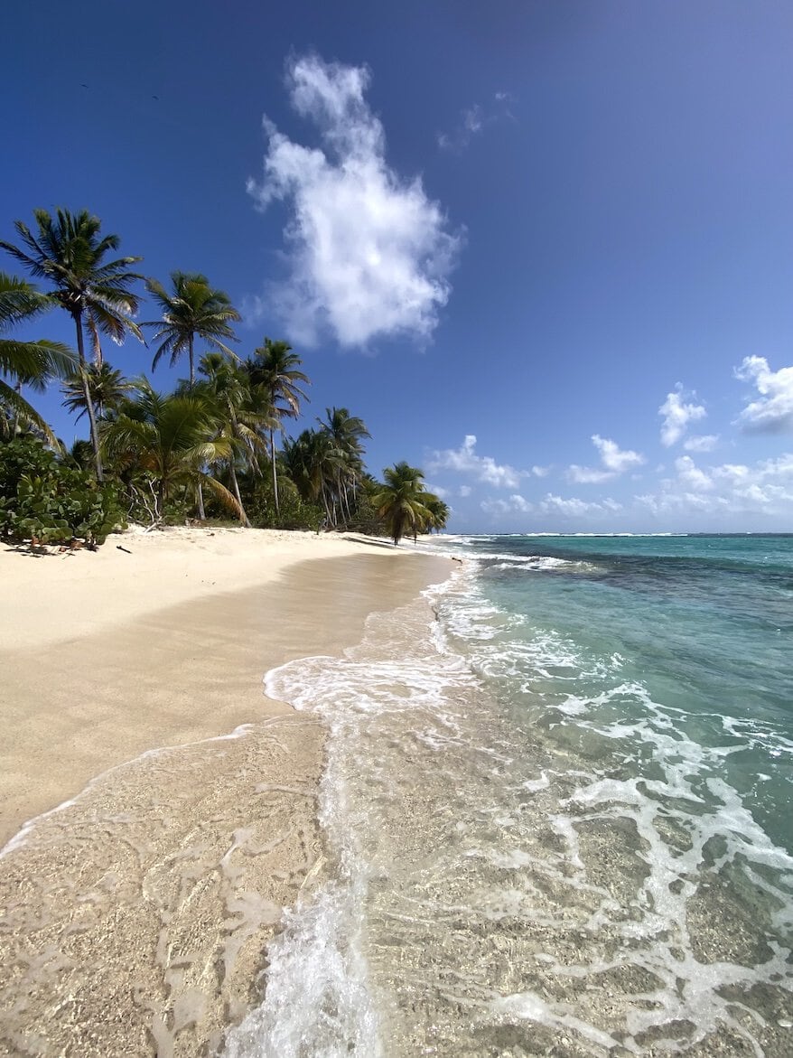 Picture perfect Tropical paradise