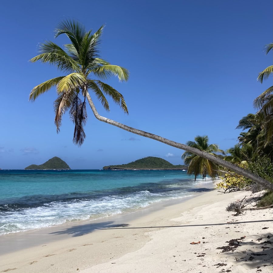 Tropical paradise Sandy Island, Grenada
