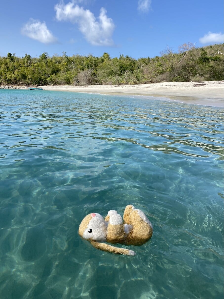 Anse la Roche Swimming at Anse la Roche