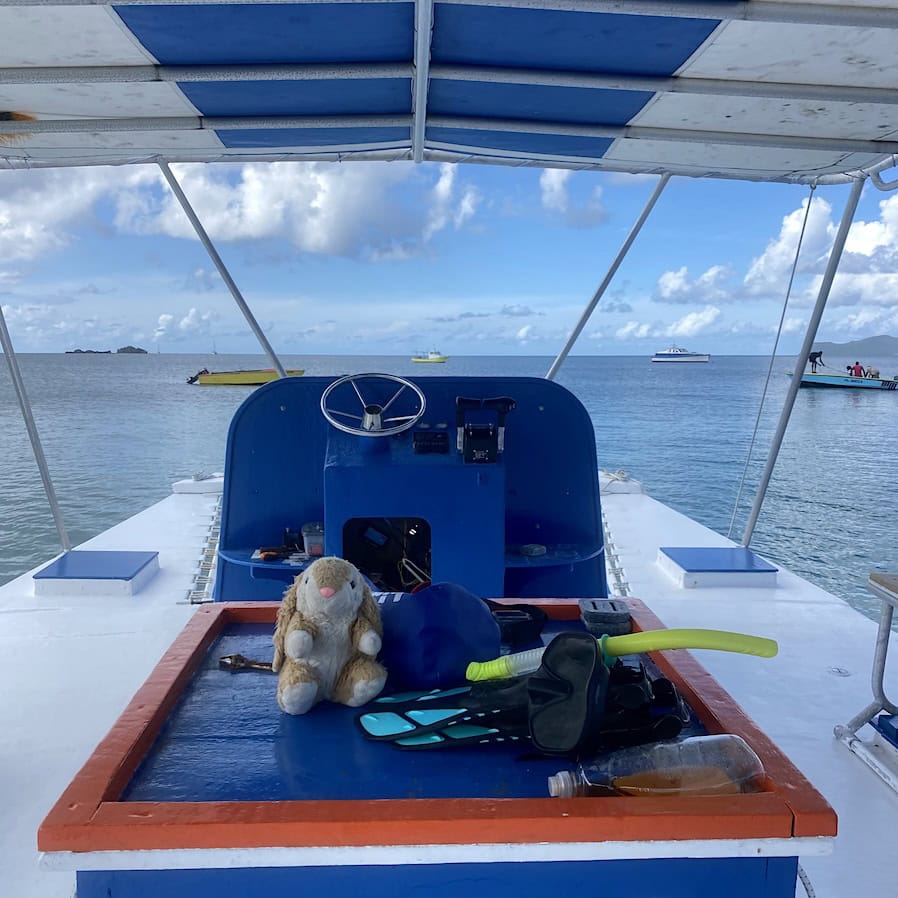 Deefer Diving Diving in Carriacou