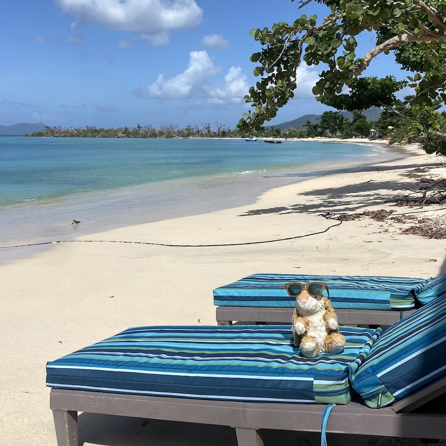 Liming on Paradise Beach Paradise Beach Club