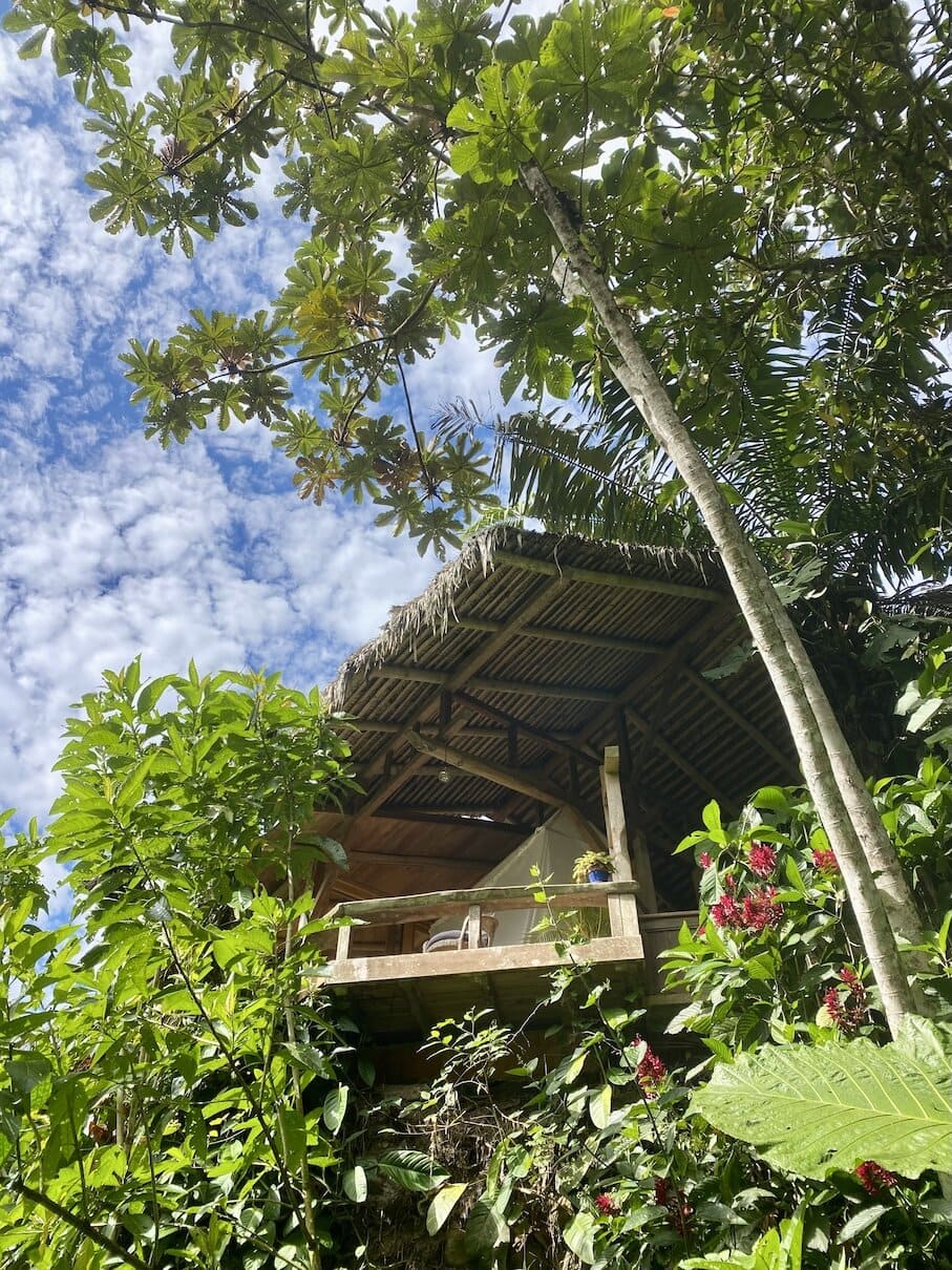 Cabin in the clouds Nestled in nature