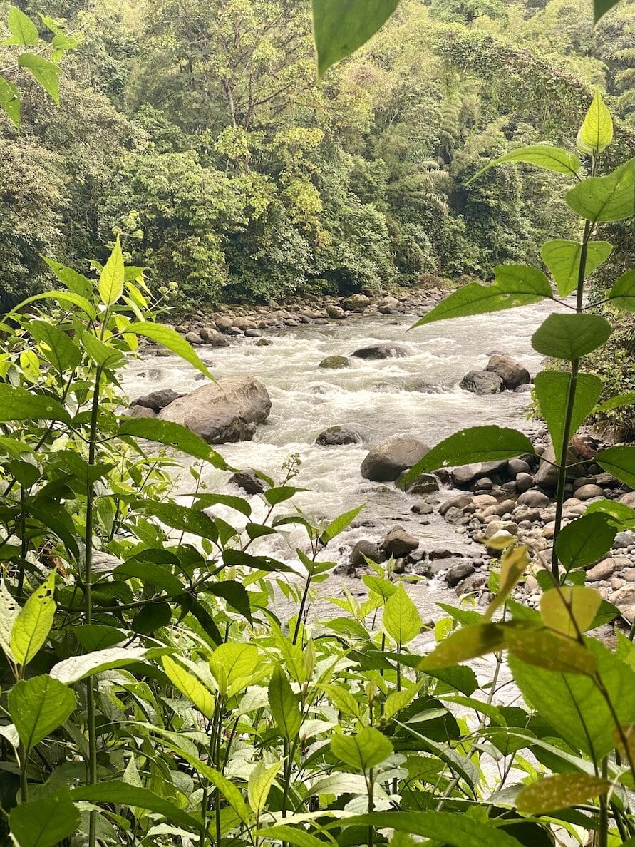 River view Beautiful surroundings