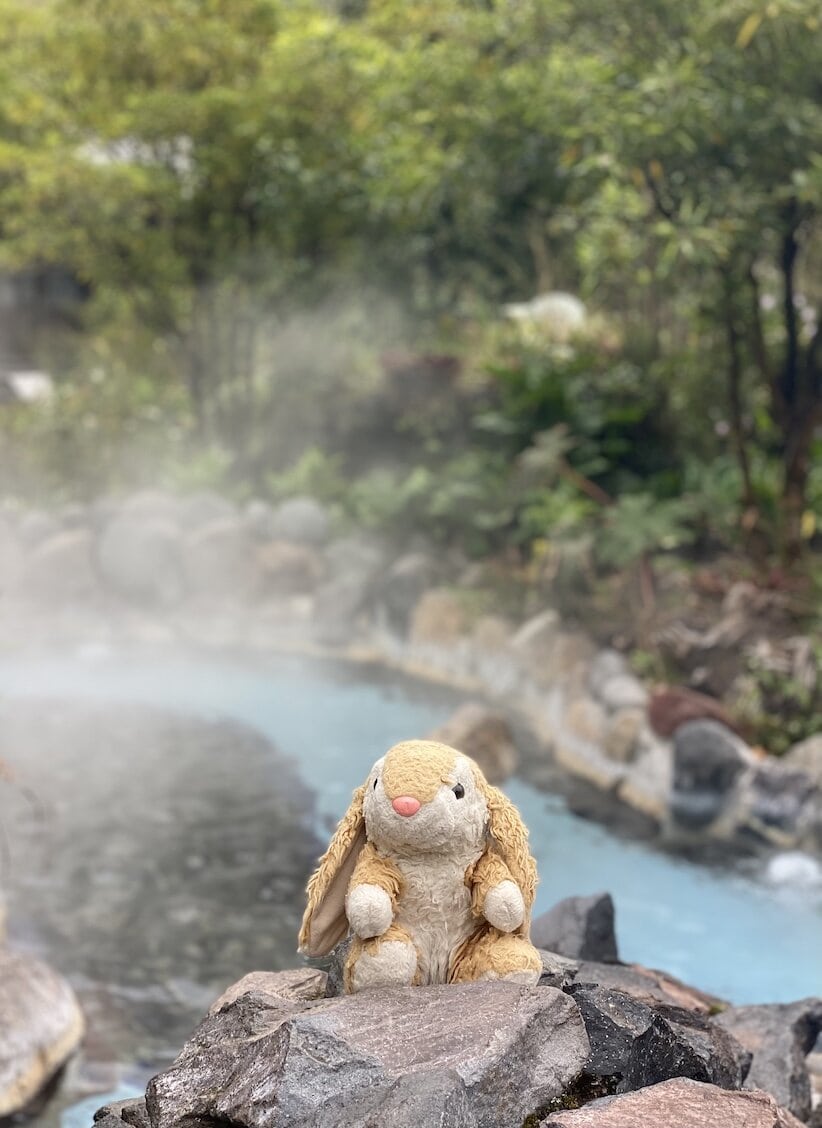 Hot springs Perfect relaxation