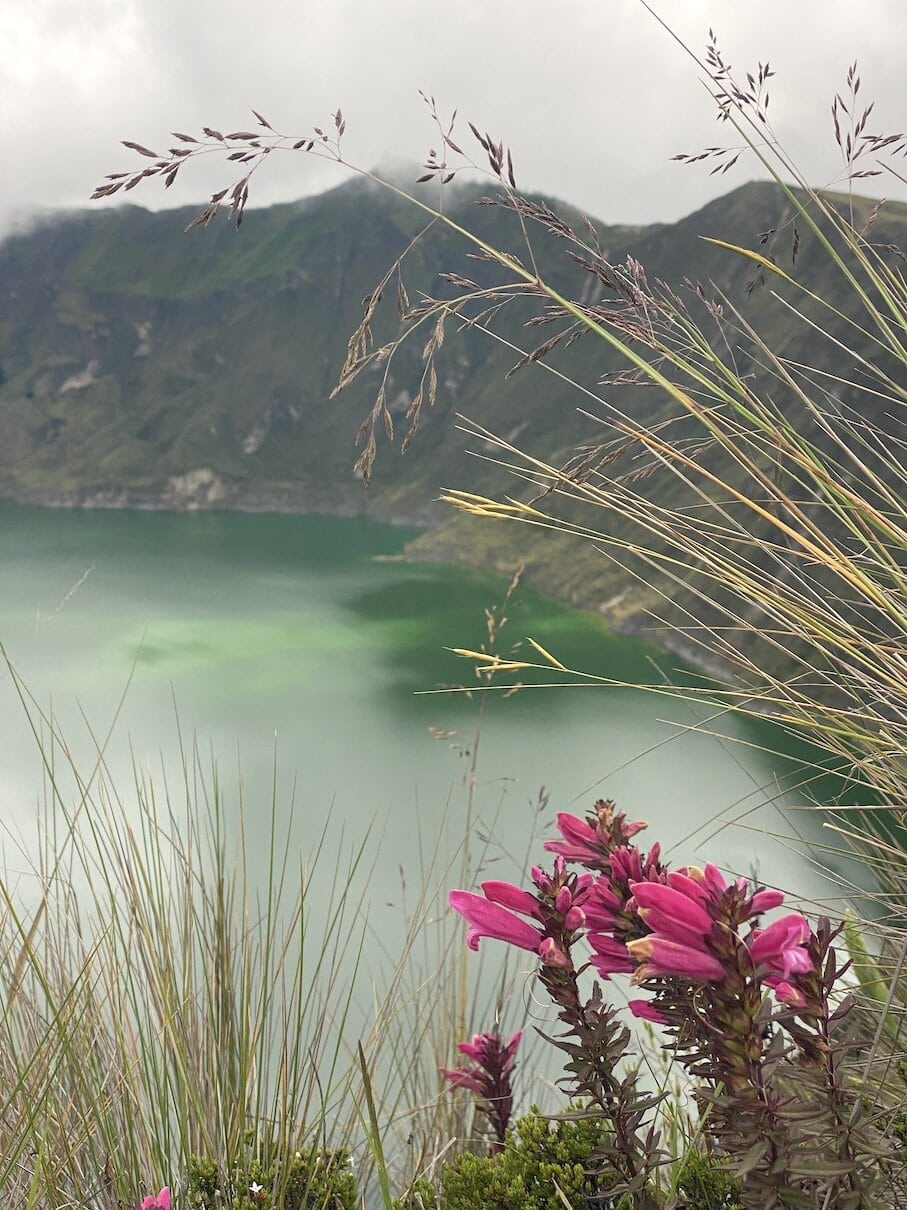Turquoise water
