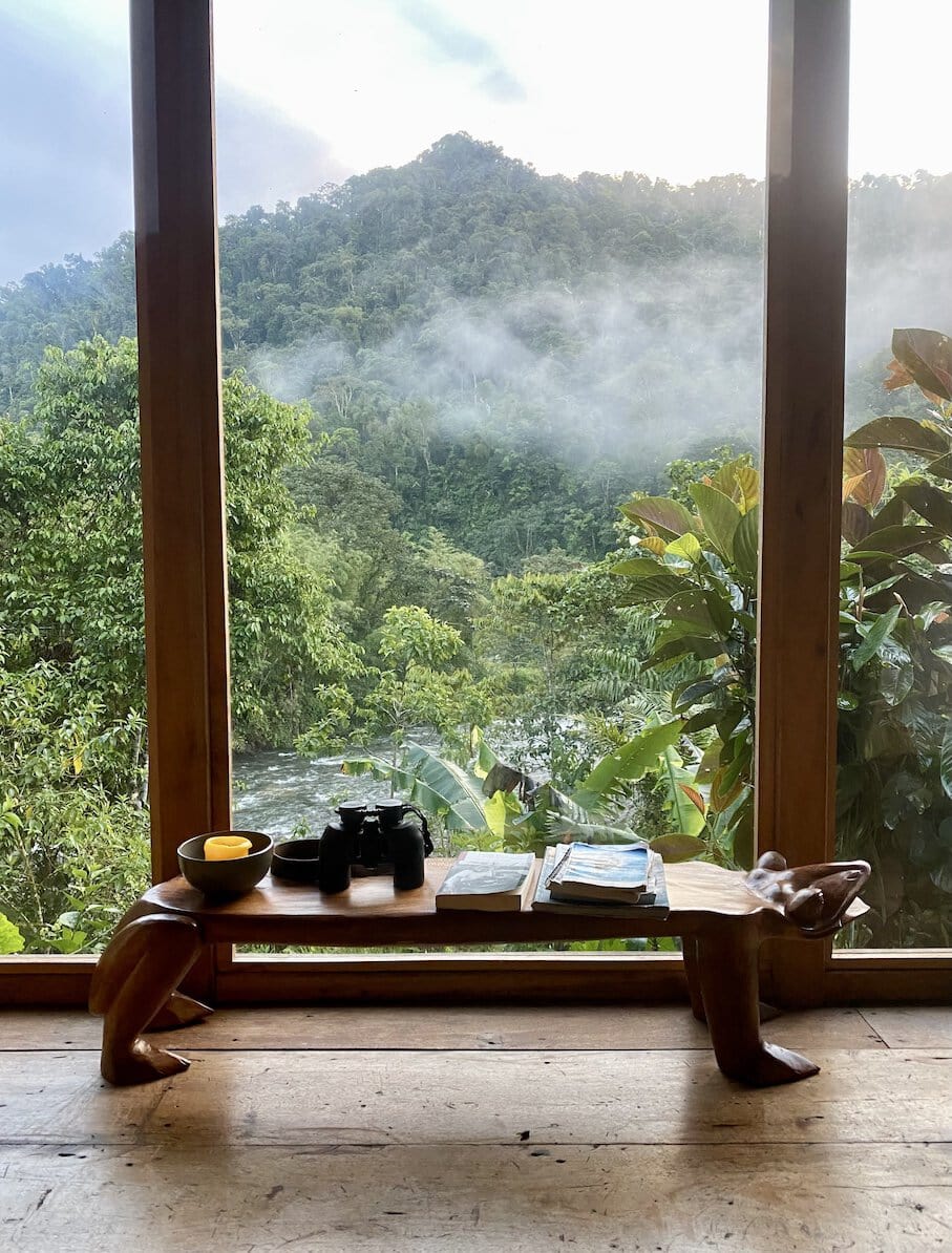 Magical cloud forest Bunny's favourite Airbnb