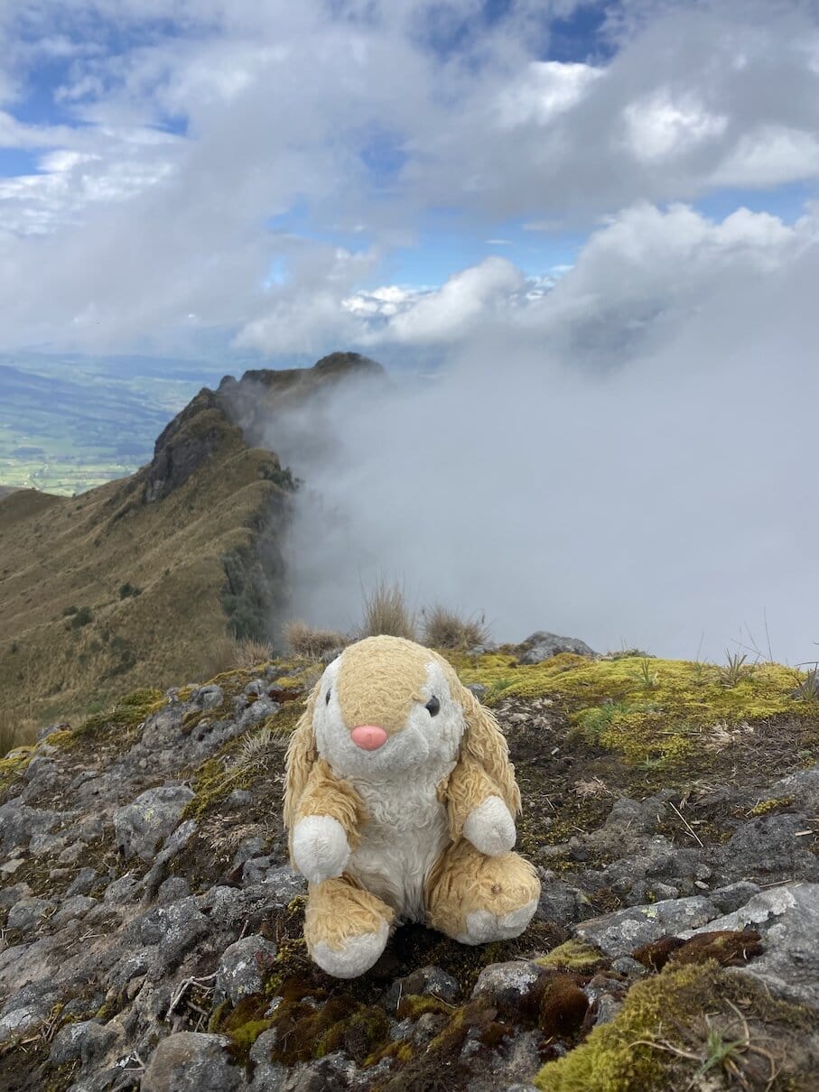On the top Finally made it