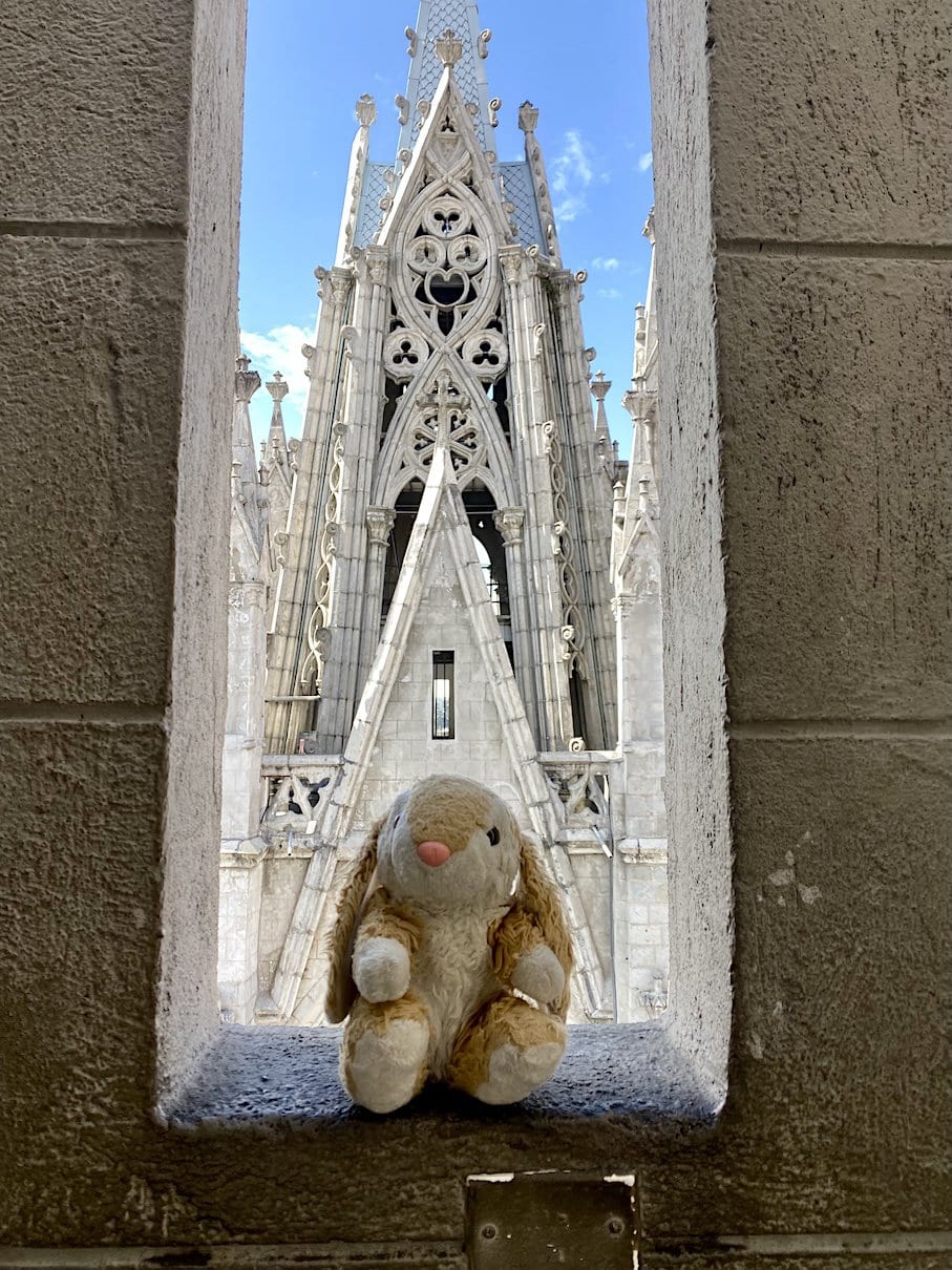 Ready to return Bunny in Quito