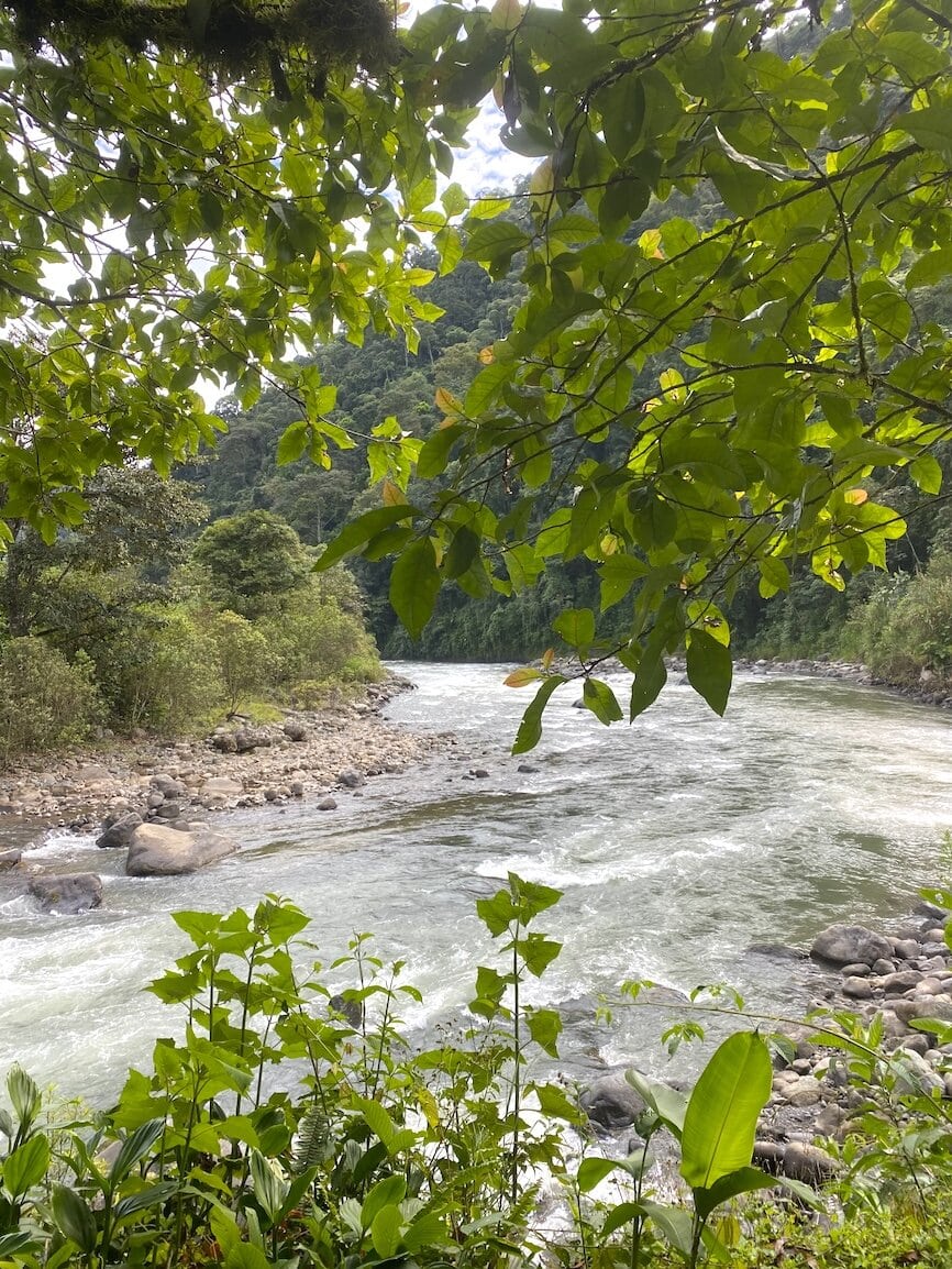 River view Hiking by the river