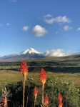 Amazing Cotopaxi