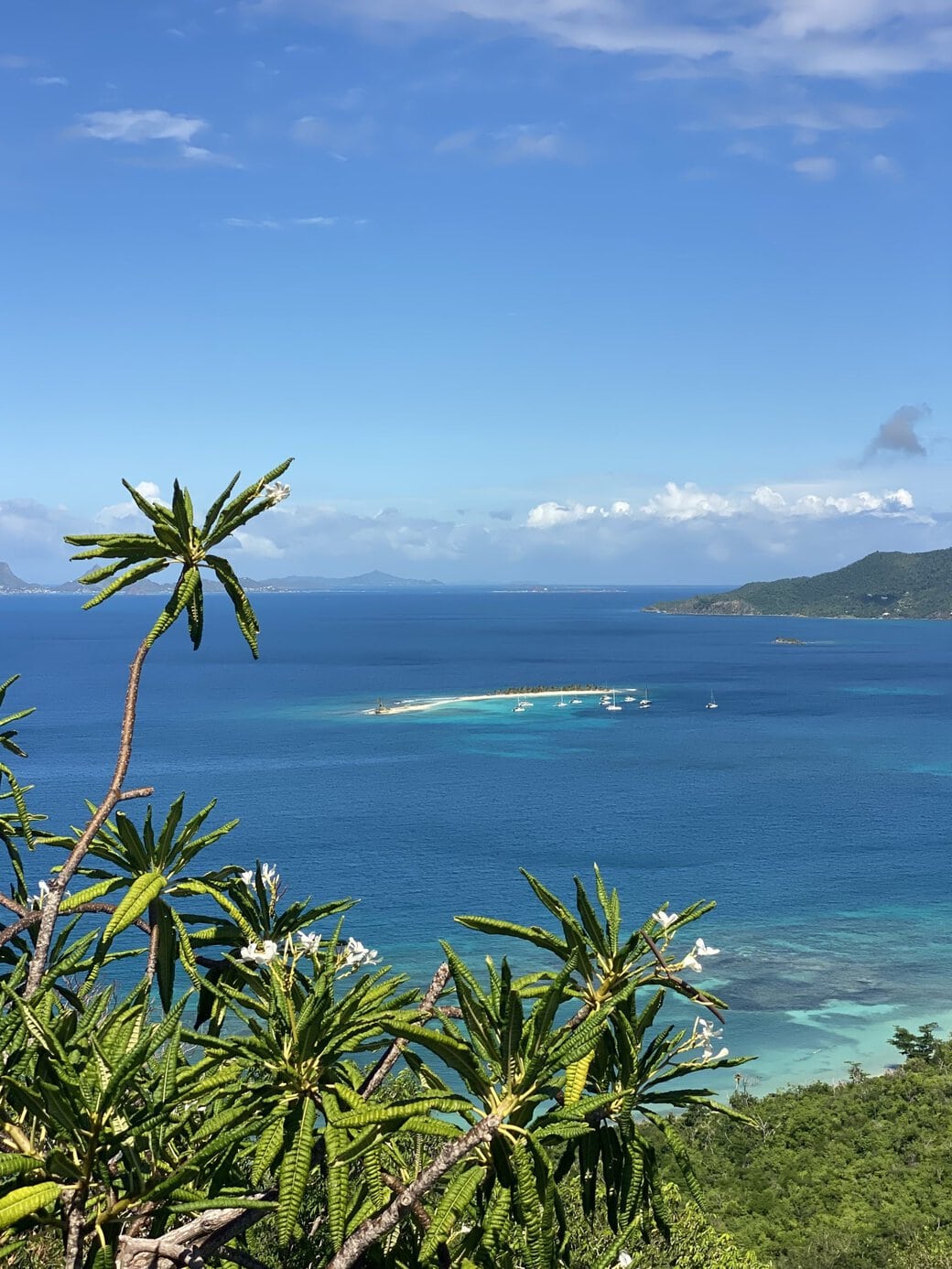 Beautiful Carriacou Sandy Island view