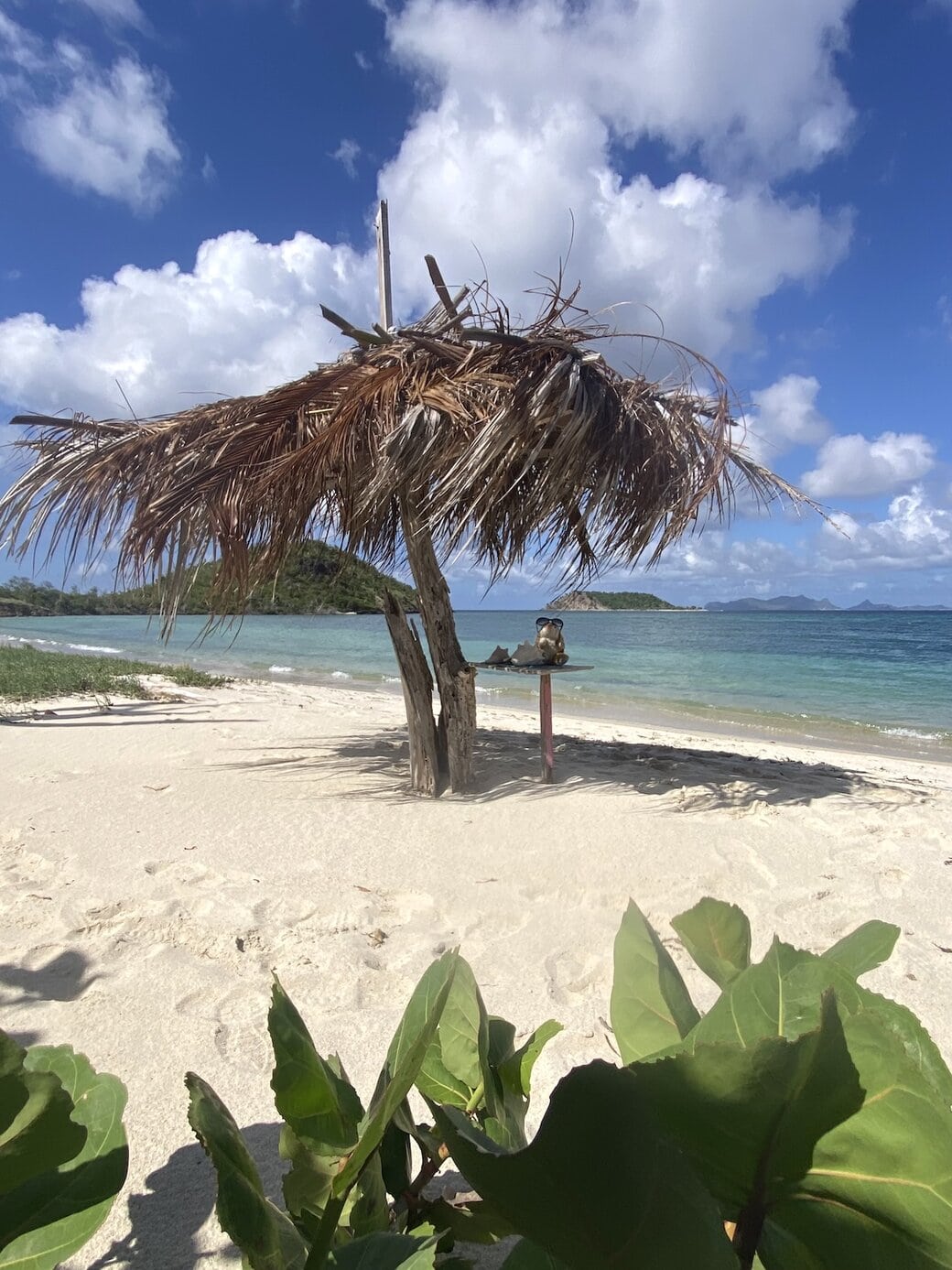 Bunny's beach palapa Liming on the beach
