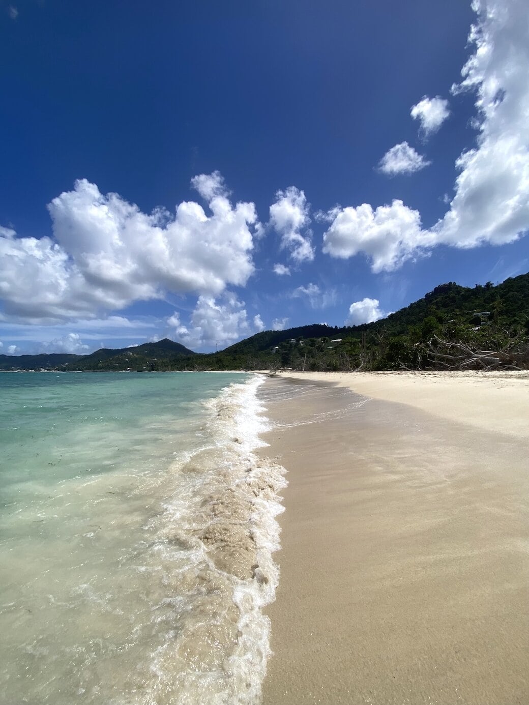 Bunny's home beach L'Esterre beach