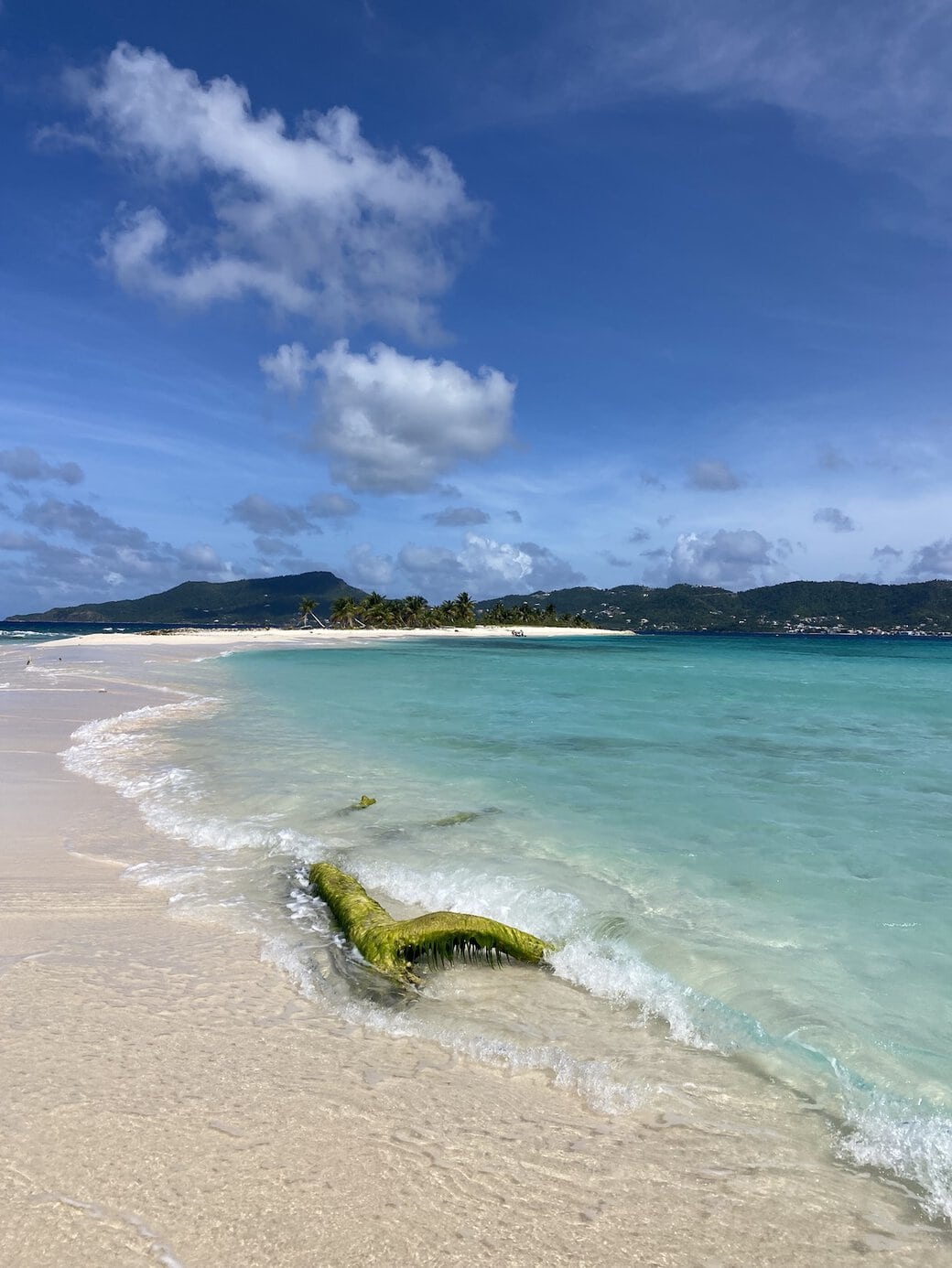 Deserted Sandy Island Carriacou's finest