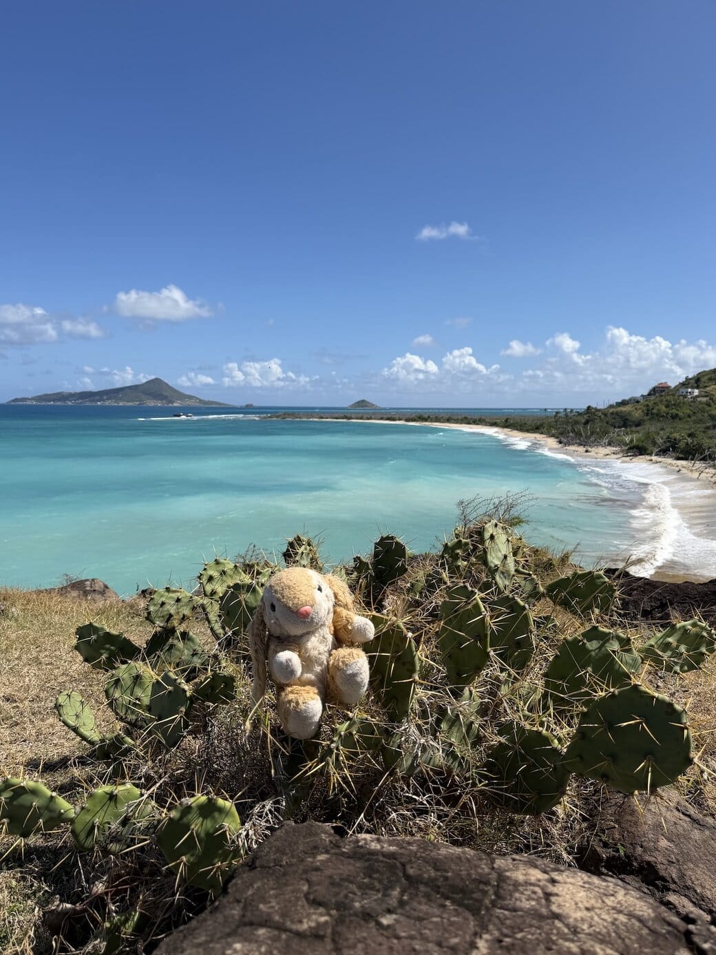Exploring Carriacou Petite Carenage beach